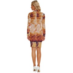 Long Sleeve Shirt Collar Bodycon Dress 