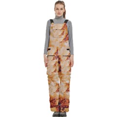 Women s Side Zip Front Pouch Ski And Snowboard Bib Pants	 