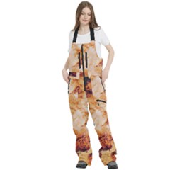 Women s Front Zip Ski And Snowboard Bib Pants 