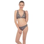 Brown Beige Snake Pattern Classic Banded Bikini Set 