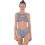Dark Grey Snake Bandaged Up Bikini Set 