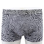 Dark Grey Snake Men s Boxer Briefs