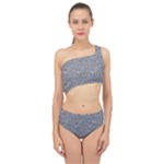 Dark Grey Snake Spliced Up Two Piece Swimsuit