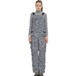 Dark Grey Snake Women s Side Zip Front Pouch Ski And Snowboard Bib Pants	