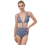 Blue Black Snake Pattern Tied Up Two Piece Swimsuit