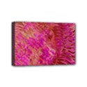 Mini Canvas 6  x 4  (Stretched) 