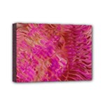 Tondo Mini Canvas 7  x 5  (Stretched)