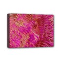 Mini Canvas 7  x 5  (Stretched) 