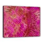 Tondo Canvas 20  x 16  (Stretched)