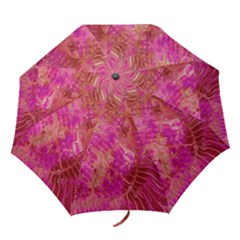 Folding Umbrella 