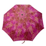Tondo Folding Umbrellas