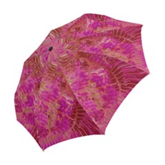 Folding Umbrella 