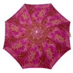 Tondo Straight Umbrellas