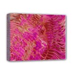Tondo Deluxe Canvas 14  x 11  (Stretched)
