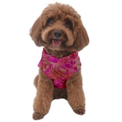 Dog Sweater 