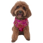 Tondo Dog Sweater