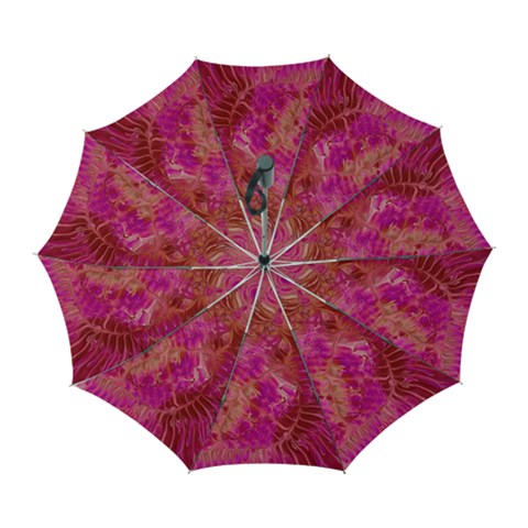 Tondo Automatic Folding Umbrella with Case (Large) from ArtsNow.com