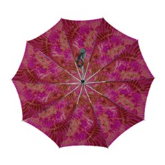 Tondo Automatic Folding Umbrella with Case (Large) from ArtsNow.com