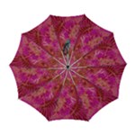 Tondo Automatic Folding Umbrella with Case (Large)