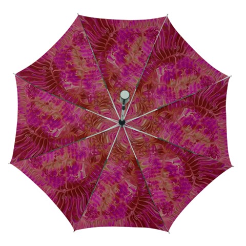Tondo Automatic Folding Umbrella with Case (Medium) from ArtsNow.com