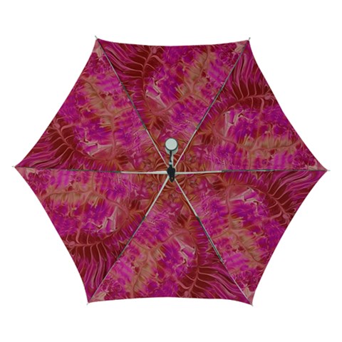 Tondo Automatic Folding Umbrella with Case (Small) from ArtsNow.com