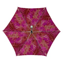 Tondo Automatic Folding Umbrella with Case (Small) from ArtsNow.com