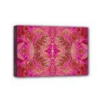 Tondo symmetry Mini Canvas 6  x 4  (Stretched)