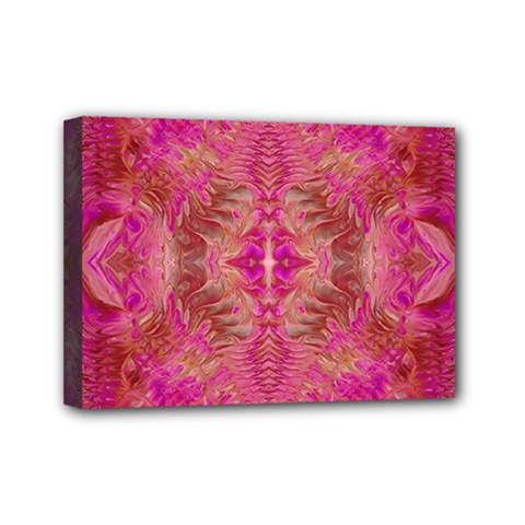 Tondo symmetry Mini Canvas 7  x 5  (Stretched) from ArtsNow.com