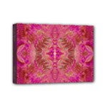 Tondo symmetry Mini Canvas 7  x 5  (Stretched)
