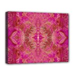 Tondo symmetry Canvas 14  x 11  (Stretched)