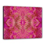Tondo symmetry Canvas 20  x 16  (Stretched)