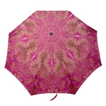 Tondo symmetry Folding Umbrellas