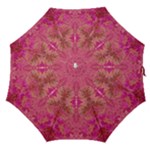 Tondo symmetry Straight Umbrellas