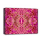 Tondo symmetry Deluxe Canvas 16  x 12  (Stretched) 
