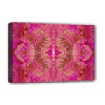 Tondo symmetry Deluxe Canvas 18  x 12  (Stretched)