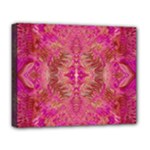 Tondo symmetry Deluxe Canvas 20  x 16  (Stretched)