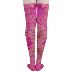 Thigh High Stockings 