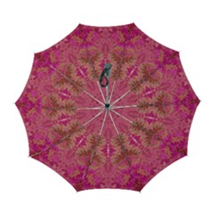 Tondo symmetry Automatic Folding Umbrella with Case (Large) from ArtsNow.com