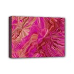  Tondo Wave I Mini Canvas 7  x 5  (Stretched)
