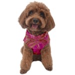  Tondo Wave I Dog Sweater