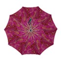 Automatic Folding Umbrella with Case (Large) 