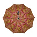 Automatic Folding Umbrella with Case (Large) 