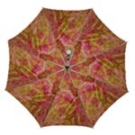 Acid green blend Automatic Folding Umbrella with Case (Medium)