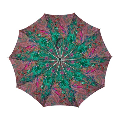 Green Pour Automatic Folding Umbrella with Case (Large) from ArtsNow.com