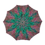 Green Pour Automatic Folding Umbrella with Case (Large)