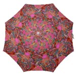Collage  Straight Umbrellas