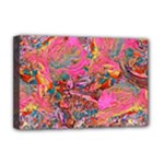 Collage  Deluxe Canvas 18  x 12  (Stretched)