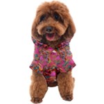 Collage  Dog Coat
