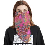 Collage  Face Covering Bandana (Triangle)