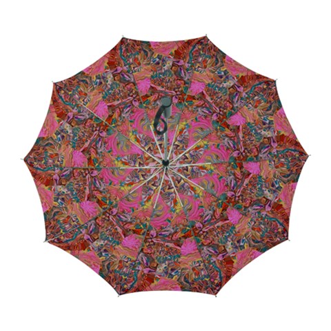 Collage  Automatic Folding Umbrella with Case (Large) from ArtsNow.com